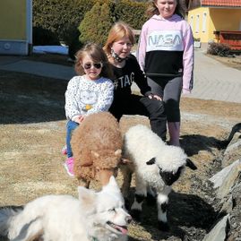 Schaf mit Kinder und Luna